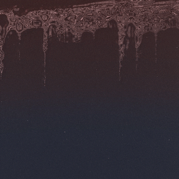 little animations by MARIA LISSEL