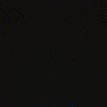 little animations by MARIA LISSEL