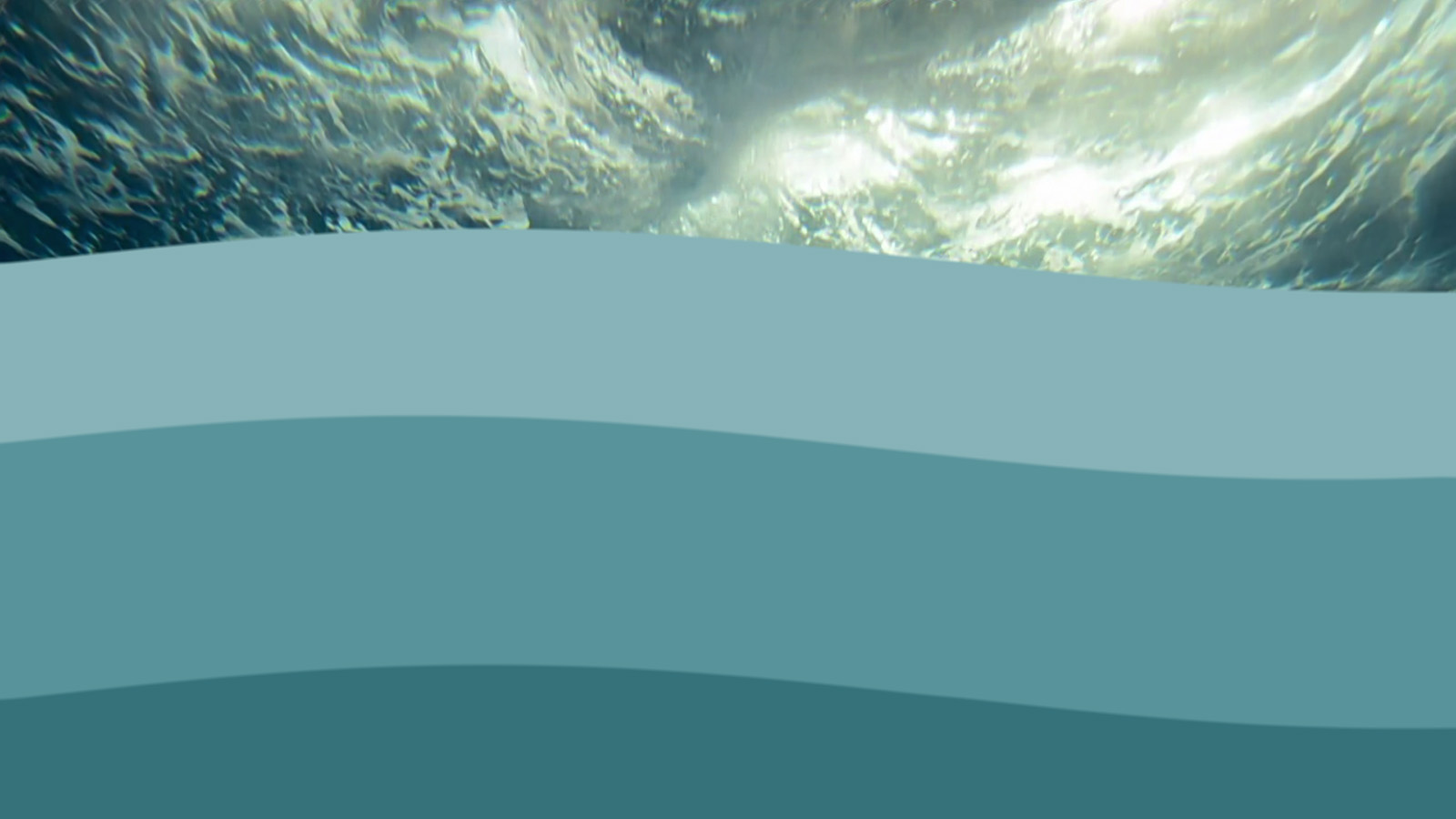 DIE ADRIA | Opener – example image of the animation | MARIA LISSEL Animation + Motion Design | maria-lissel.de