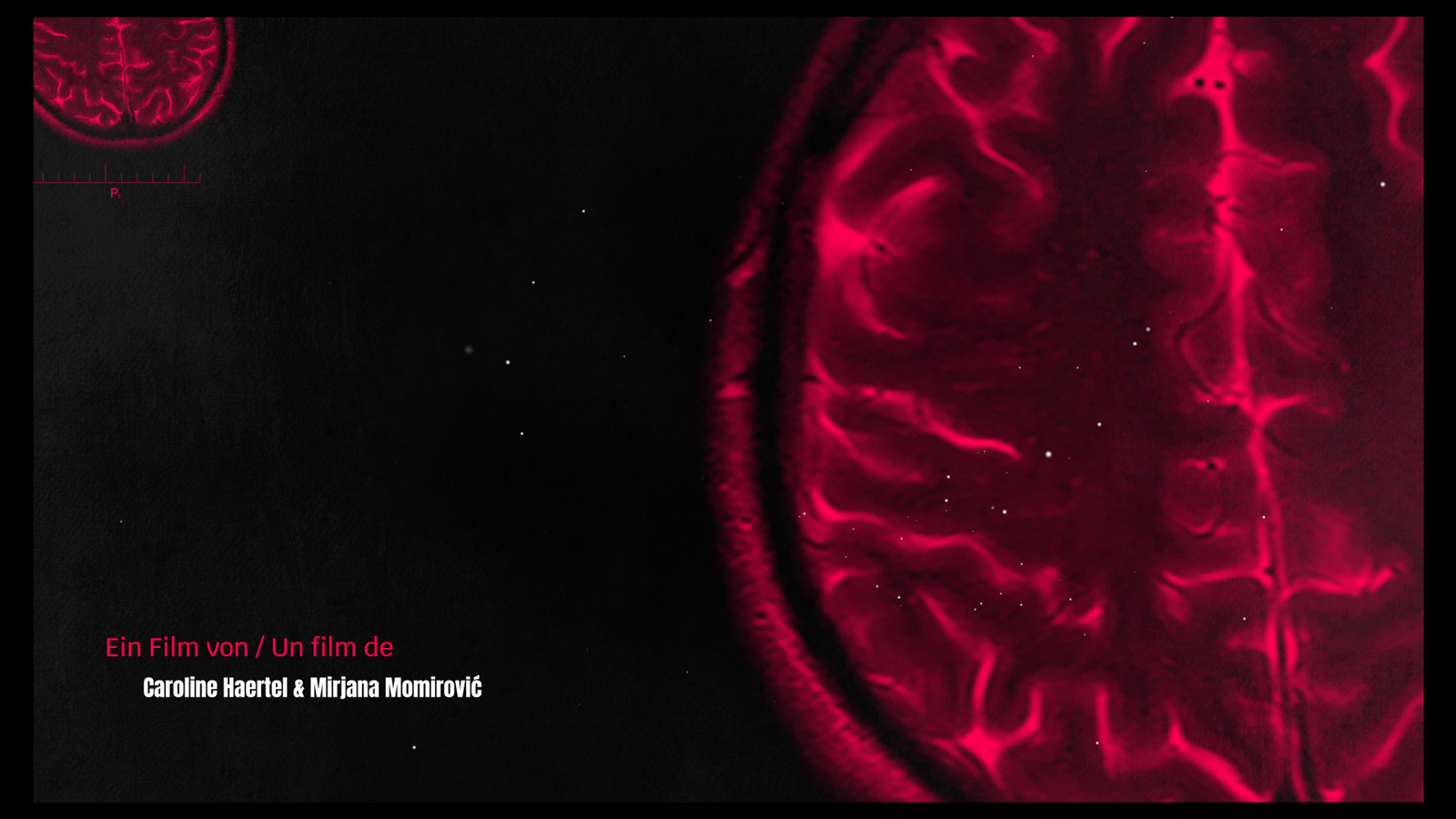 HEILENDE DROGEN / Les psychédéliques, des drogues qui soignent ? | MARIA LISSEL Animation + Motion Design | maria-lissel.de